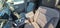 2023 Chevrolet Traverse LT Cloth FWD